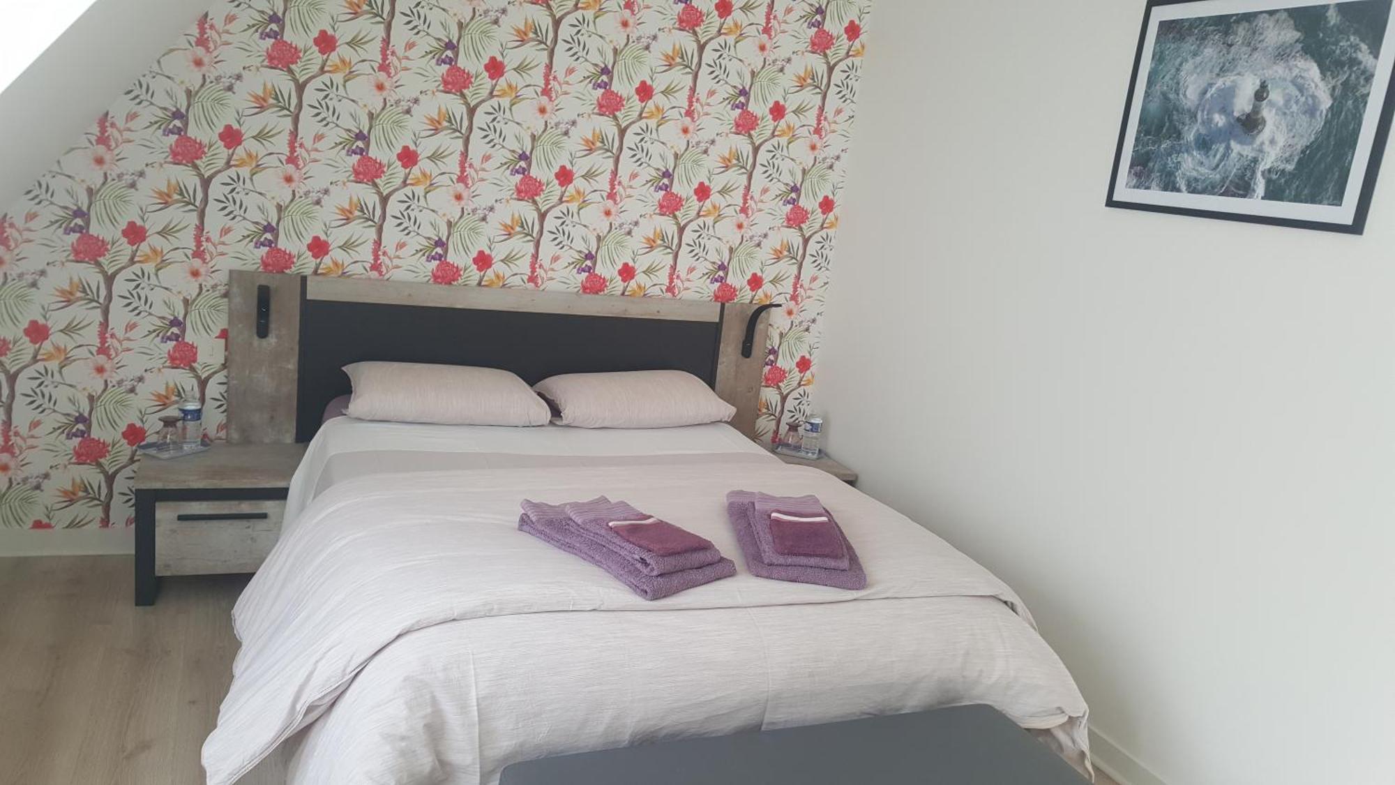 Chambre D'Hote Les Iles Concarneau Dış mekan fotoğraf