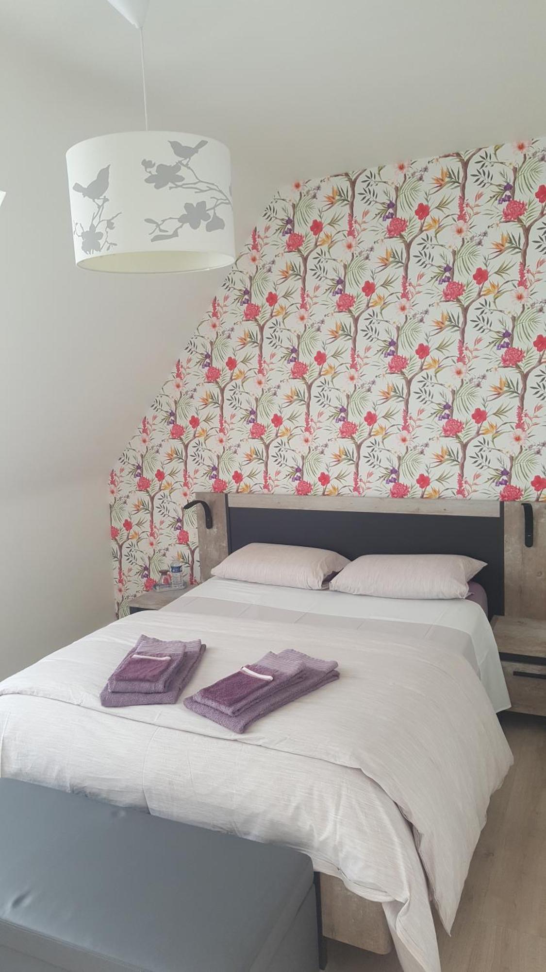 Chambre D'Hote Les Iles Concarneau Dış mekan fotoğraf